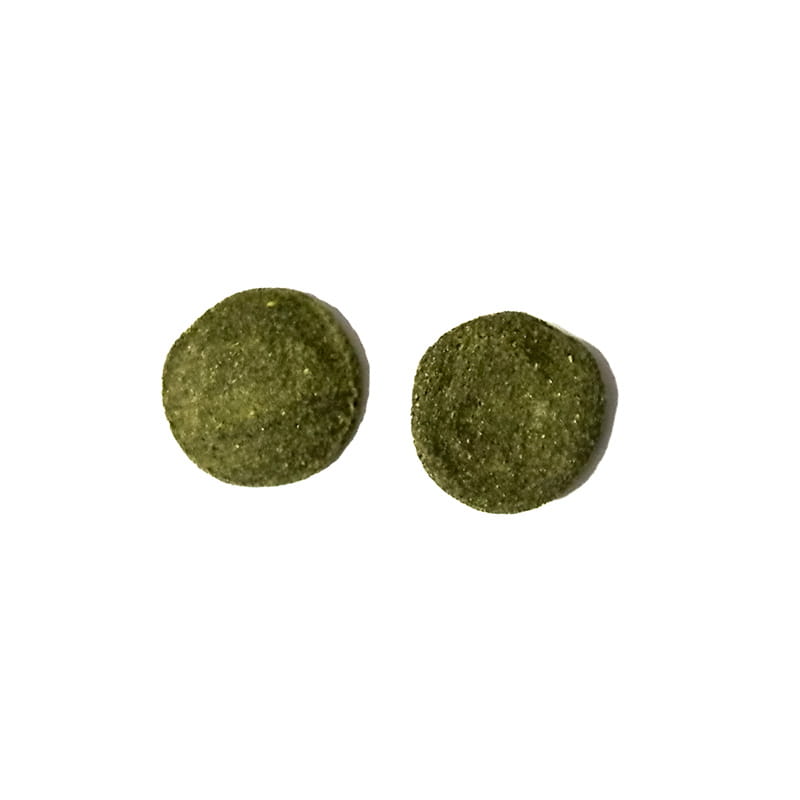 Green alge 3.jpg